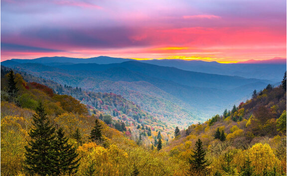 Gatlinburg SkyBridge Experience: Find Hotels Near SkyBridge Park